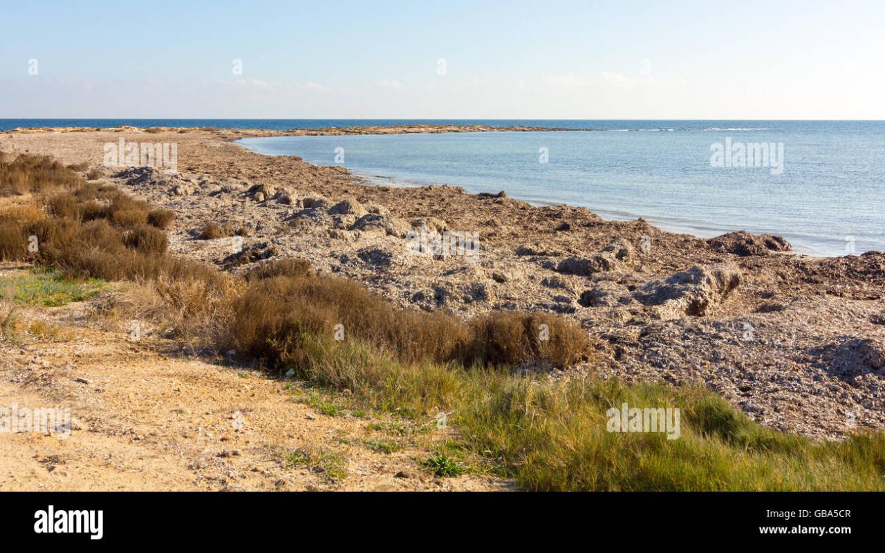 Full frame screen hi-res stock photography and images - Alamy