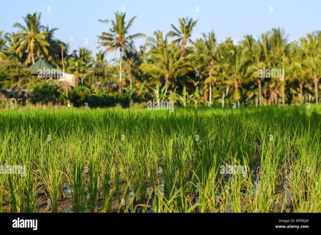 Small beach between cliffs hi-res stock photography and images - Alamy