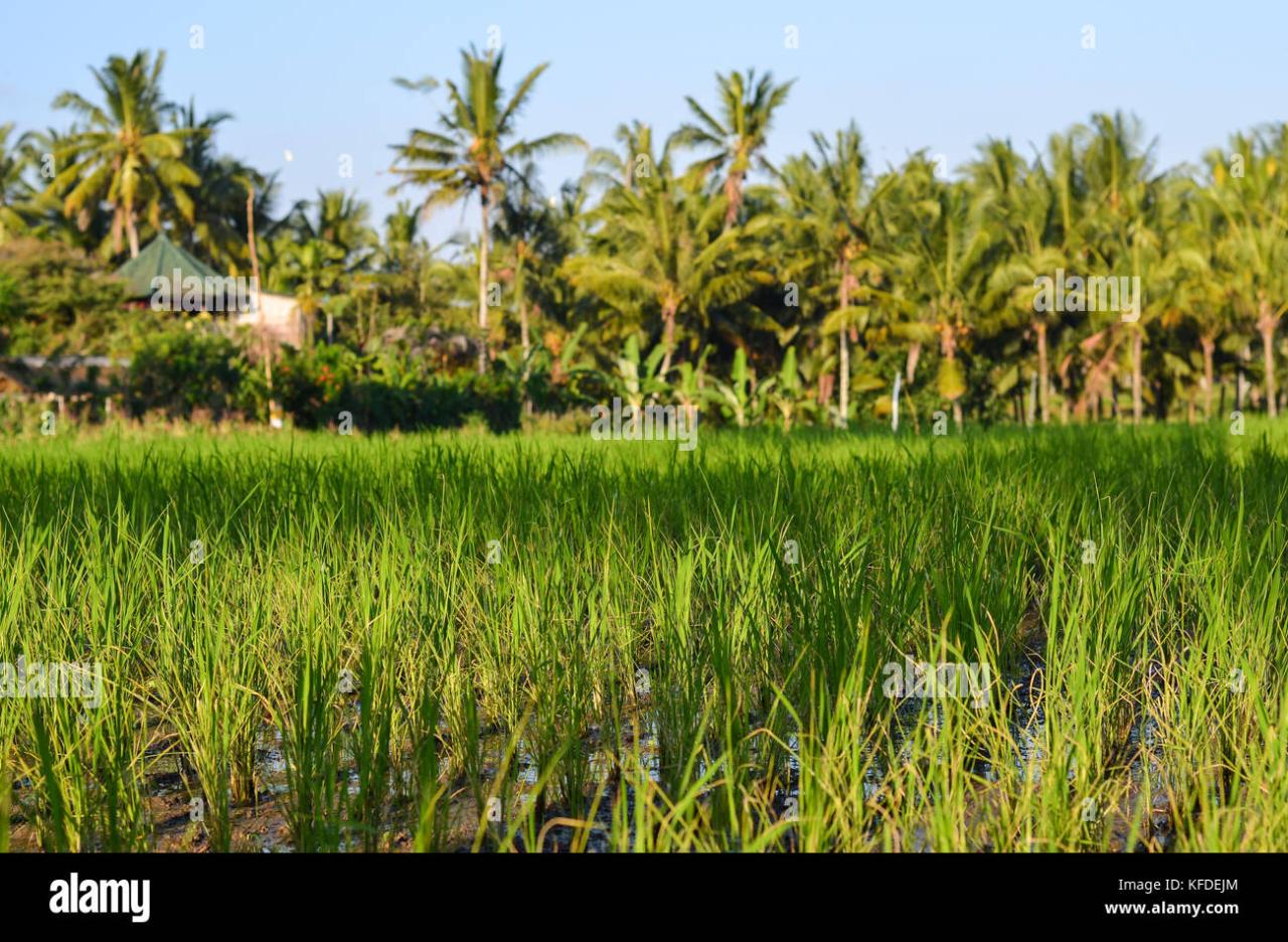 Small beach between cliffs hi-res stock photography and images - Alamy